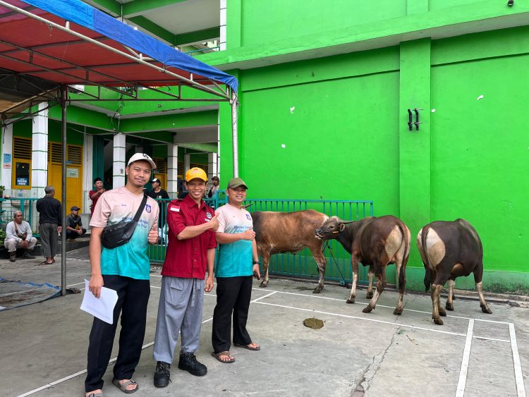 SD Muhammadiyah Meruyung Sembelih 7 Hewan Kurban, 600 Paket Daging Dibagikan