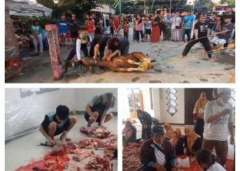 Antusiasme Warga Baktijaya Berkurban Meningkat di Idul Adha 1446 H: 754 Ekor Hewan Tercatat