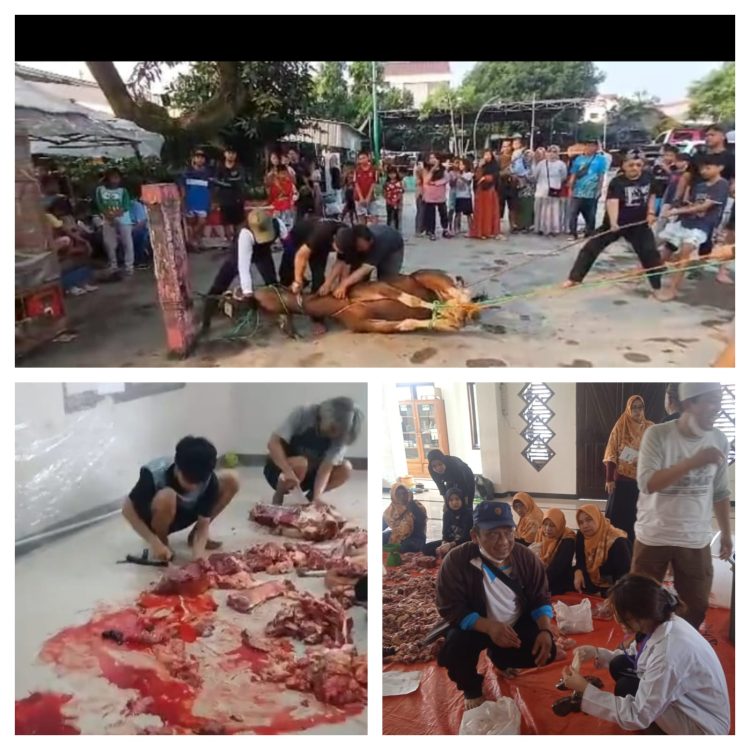 Antusiasme Warga Baktijaya Berkurban Meningkat di Idul Adha 1446 H: 754 Ekor Hewan Tercatat