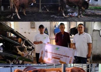 PT Tirta Asasta Depok Rayakan Idul Adha 1446 H dengan 3.250 Paket Daging Qurban Ramah Lingkungan