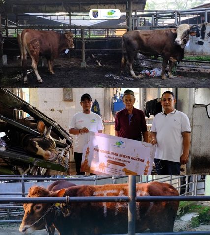 PT Tirta Asasta Depok Rayakan Idul Adha 1446 H dengan 3.250 Paket Daging Qurban Ramah Lingkungan