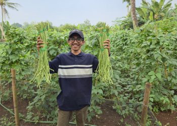 Pemuda Desa Pabuaran Dorong BUMDes Jadi Motor Kemandirian dan Ketahanan Pangan