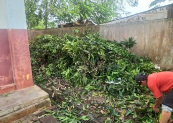 Cegah Bahaya, SDN Curug 01 dan LPM Lakukan Pemangkasan Pohon Sekitar Sekolah
