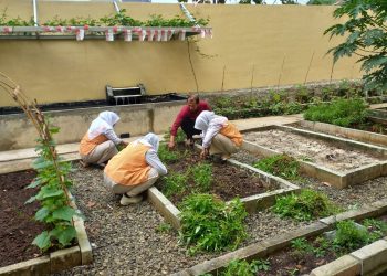 Belajar di Kantor Kelurahan, Siswa SMK YPUI Rasakan PKL yang Menyenangkan
