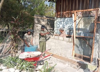 Rumah Adat Papua: Kolaborasi Pemerintah dan Masyarakat Adat Menjaga Warisan Budaya Jayawijaya