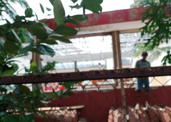 SDN Mekarjaya 29 Direnovasi Total, Siswa Sementara Belajar di SDN Mekarjaya 28