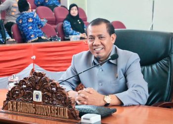 Politik, Ruang Dinamis yang Penuh Warna