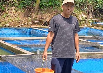 Guru SDN Duren Seribu 01 Manfaatkan Libur Sekolah dengan Budidaya Ikan Gurame