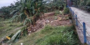 DPW SWI Jateng Soroti Pendangkalan Sungai Kali Babon di Semarang