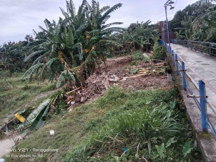 DPW SWI Jateng Soroti Pendangkalan Sungai Kali Babon di Semarang